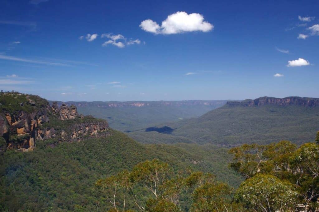 The image shows a vast expanse of the Blue Mountains with dense green forests and rugged cliffs under a clear blue sky. This scenic landscape is a popular destination for spotting wild kangaroos, especially in areas like Euroka Clearing and Glenbrook, making it a significant location for those searching "where to see kangaroos in Sydney." The Blue Mountains offer a natural setting to observe kangaroos in their habitat, providing a tranquil escape from the city.