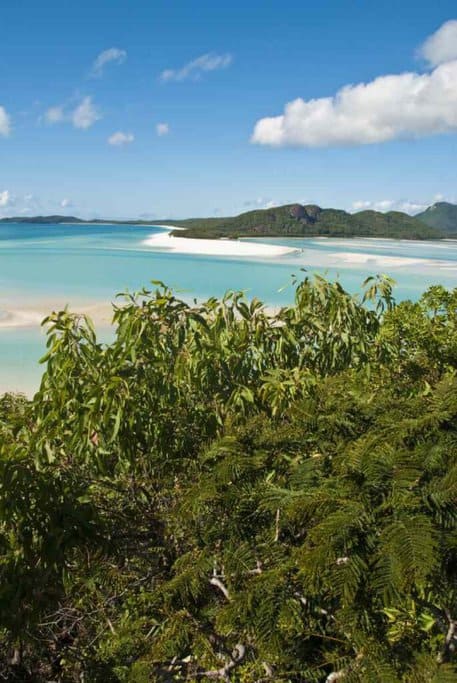 View of Whitehaven Beach's stunning white sands and clear turquoise waters in Queensland, Australia, surrounded by lush greenery. This picturesque beach highlights the natural beauty discussed in the blog post comparing Cairns vs. Airlie Beach as top travel destinations in Australia.