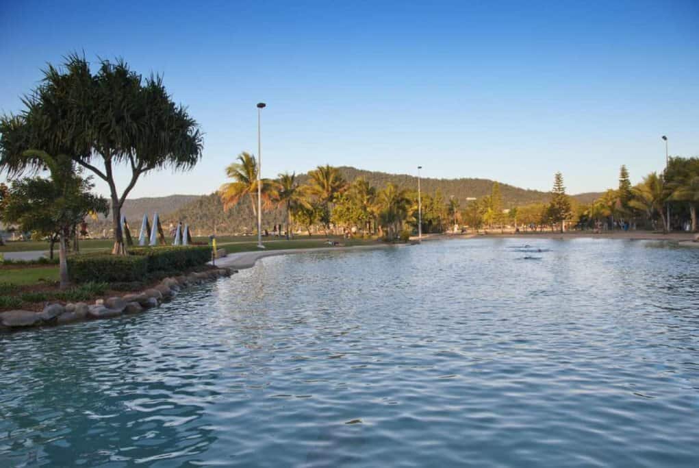 View of Airlie Beach Lagoon in Queensland, Australia, featuring clear water, palm trees, and a landscaped park area. This scenic spot showcases the relaxing and family-friendly environment, a key aspect in the comparison of Cairns vs. Airlie Beach as travel destinations.