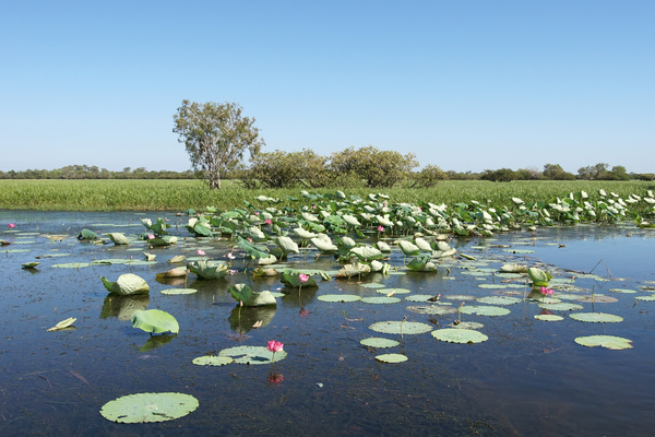 The lake at Kakadu National Park