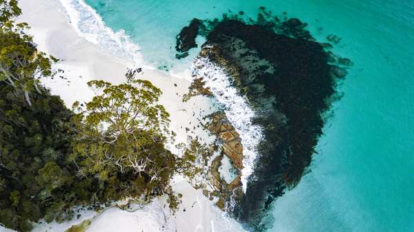 Aerial view of a pristine white sand beach meeting turquoise waters on Bruny Island, a scene that captures the essence of natural beauty and serenity, answering the traveller's query: is Bruny Island worth visiting