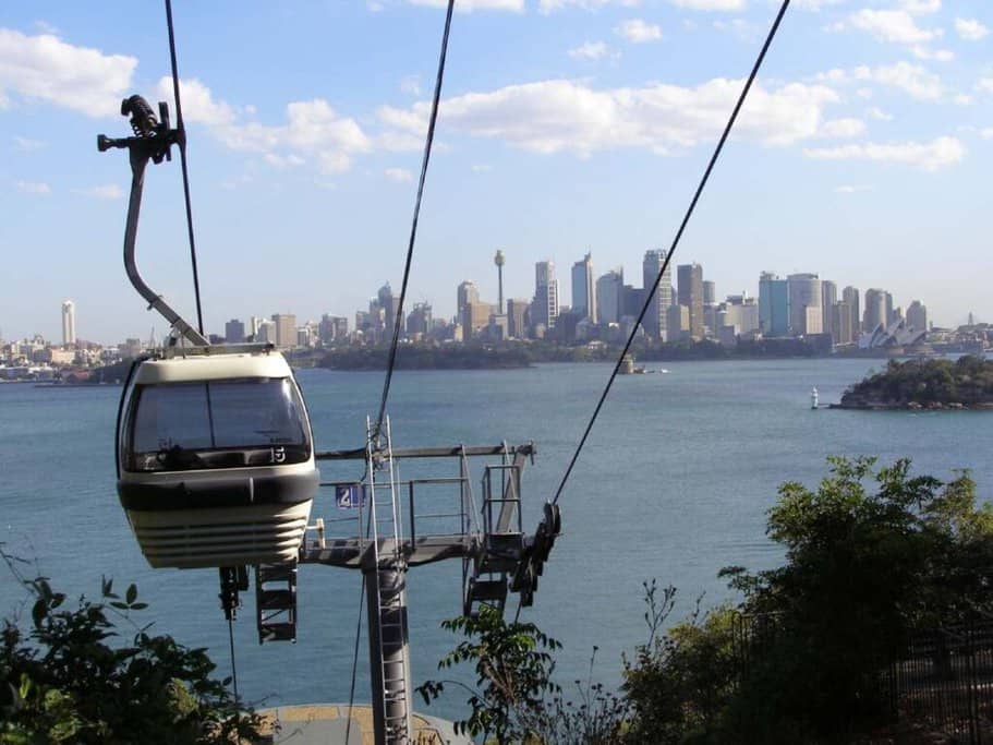 The image shows the Sky Safari cable car at Taronga Zoo, with the Sydney skyline in the background. Taronga Zoo is one of the best places to see kangaroos in Sydney, offering a unique experience to view native Australian wildlife, including kangaroos, while enjoying stunning views of the city. The zoo's location on the harbour adds to the appeal, making it a top destination for those wanting to see kangaroos and other animals in Sydney.