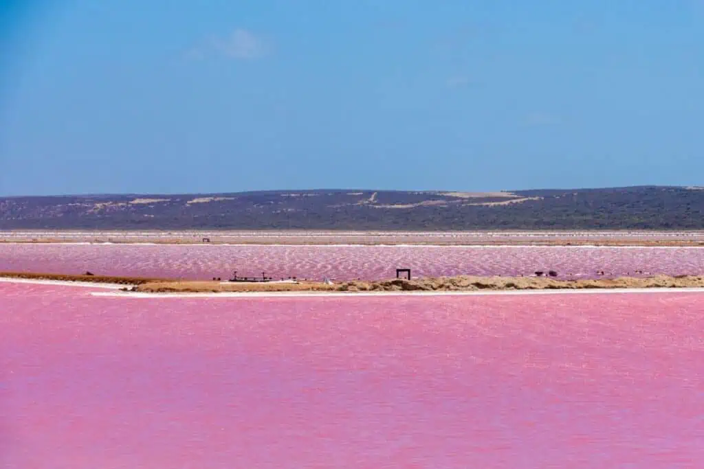 Expansive view of Lake Hillier in Australia, showcasing its distinct pink waters bordered by sandy shores and distant hills. The image highlights the lake's unique beauty, a central feature in the post discussing the natural wonders of Lake Hillier in Australia.