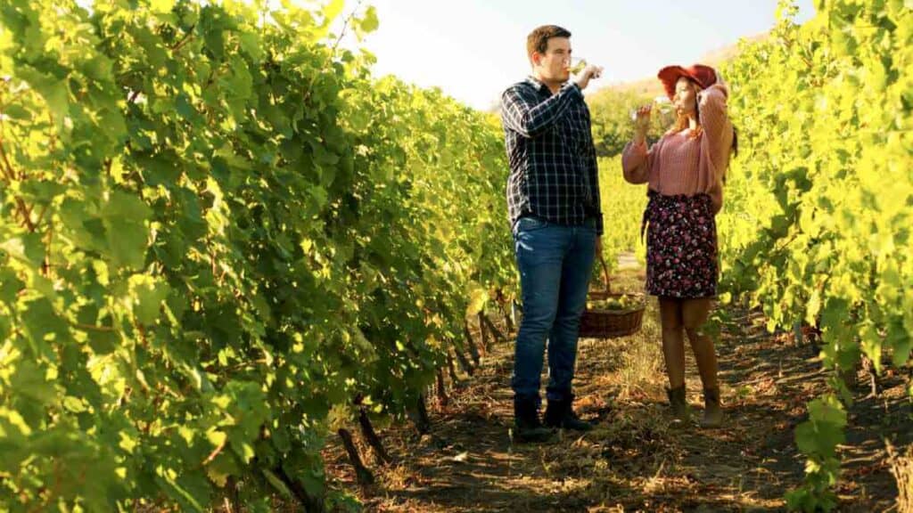 A couple leisurely strolling through sunlit vineyards, wine glasses in hand, embodying the quintessential Hunter Valley winery tour experience.