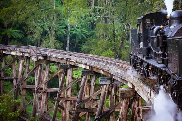 A vintage steam train crossing a wooden trestle bridge amidst lush greenery, a quintessential winter activity in Melbourne for those who enjoy scenic railway journeys.