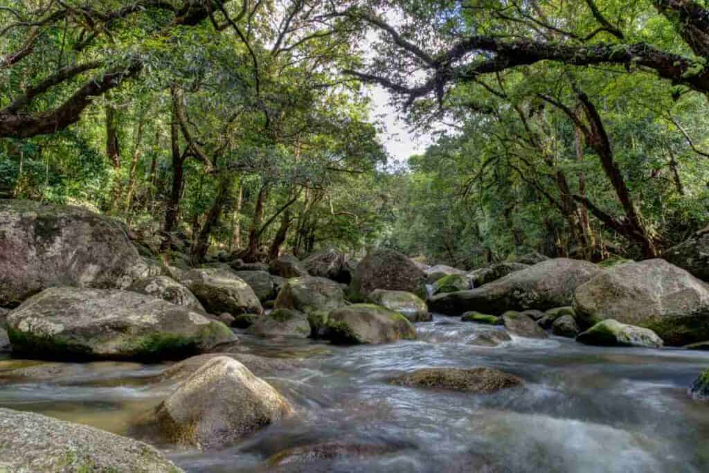 Serene Mossman River flowing through the ancient Daintree Rainforest with large rocks and lush greenery, reflecting the tranquil environments found near Cairns, often compared with the aquamarine vistas of the Whitsundays