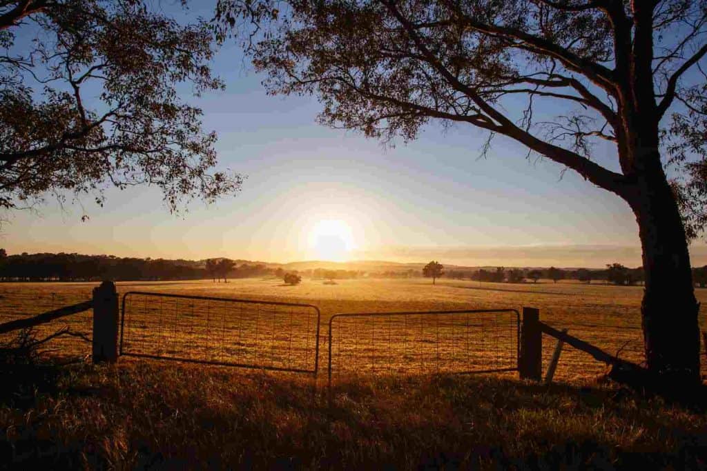 Part of the Bendigo-Maldon Road at sunrise on a spring evening near Maldon