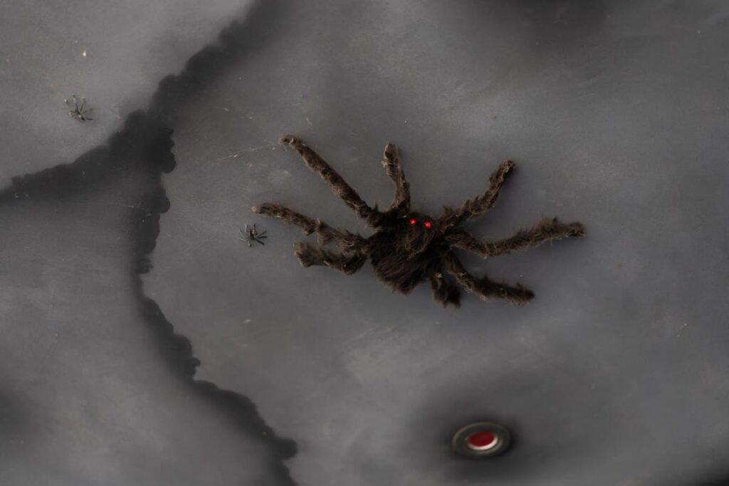 Large, hairy artificial spider with glowing red eyes on a dark background, creating a chilling scene for rituals on Halloween.