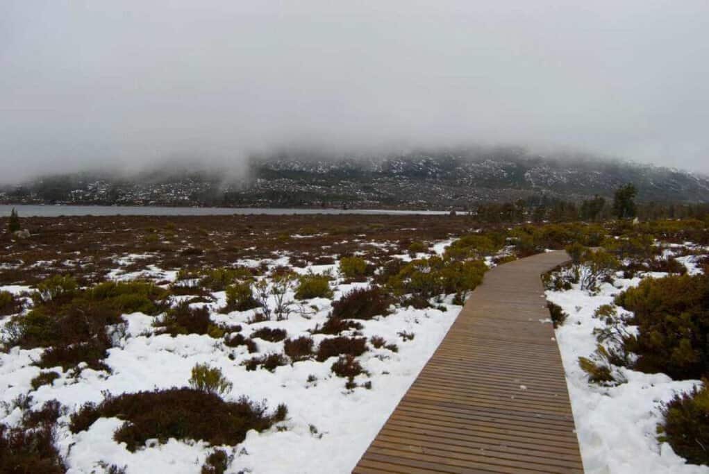 Boardwalk trail through snowy terrain in Tasmania, illustrating the cold weather conditions as a consideration in the pros and cons of living in Tasmania.