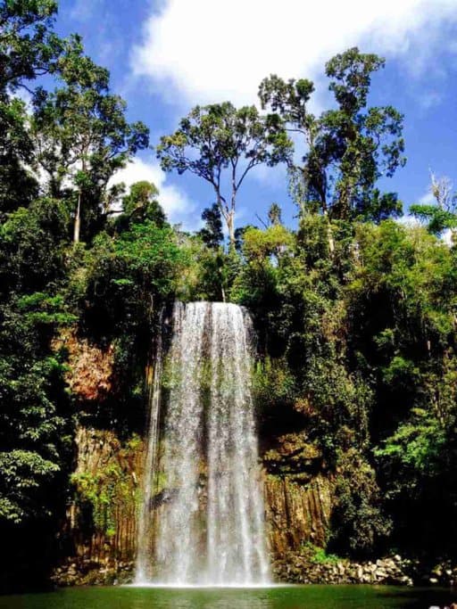 Millaa Millaa Falls cascading into a tranquil pool surrounded by dense rainforest, located near Cairns. This stunning waterfall is a popular attraction for nature lovers comparing the natural wonders of Airlie Beach or Cairns.