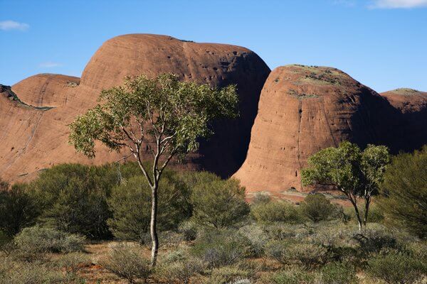 Is Uluru worth visiting? Here is Uluru Kata Tjuta National Park, Australia with Mount Olga in the distance.