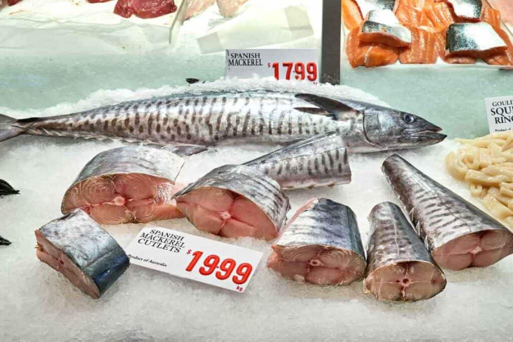 Fresh Spanish mackerel on ice at a Sydney fish market, a typical sight and culinary highlight on gourmet food tours in Sydney, showcasing the city's fresh seafood offerings.