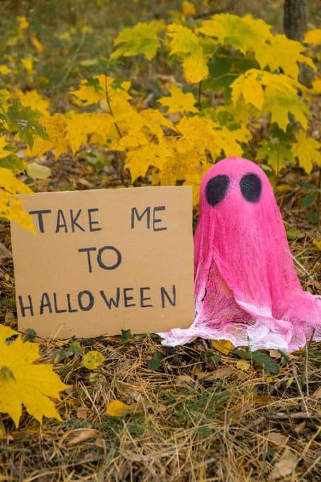 A pink ghost figure made from fabric with a cardboard sign that reads 'Take Me To Halloween,' placed among autumn leaves. This playful image evokes the festive spirit of Sydney Halloween celebrations, where fun costumes and spooky decorations are a big part of the excitement.