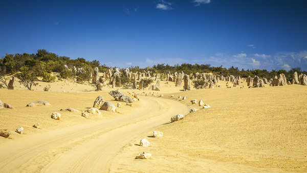 The Pinnacles Desert at Nambung National Park in Western Australia