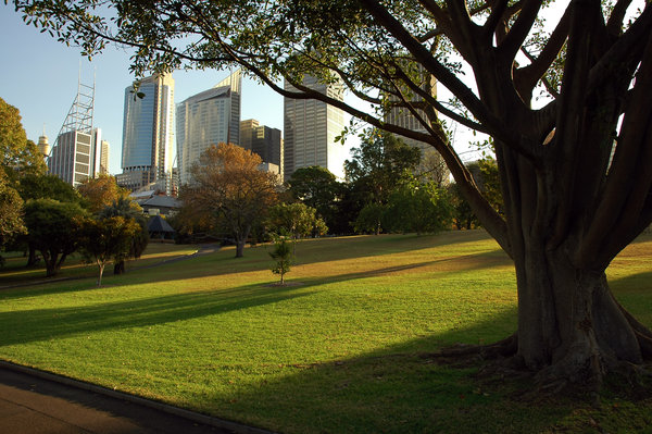 The inside of the Royal Botanic Garden in Sydney