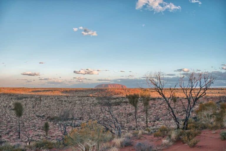 View of the expansive landscape in the Australian outback with Uluru in the distance, perfect for a road trip itinerary