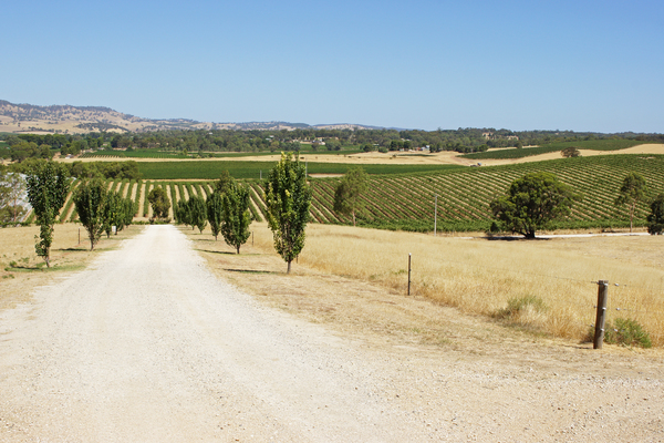 The mountain view of the Barossa Valley