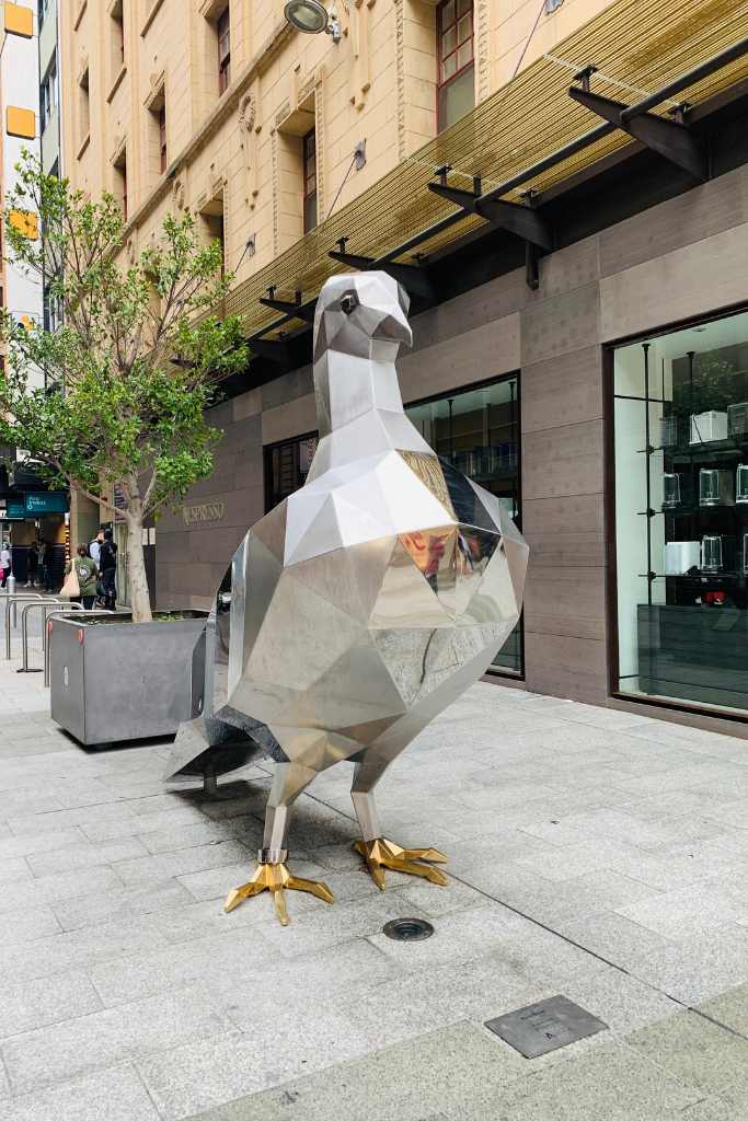 the pigeon in rundle mall