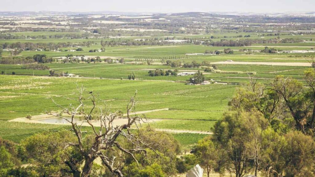 Expansive view of the lush vineyards and rolling hills of Adelaide Hills, illustrating a picturesque destination included in Australia travel deals.