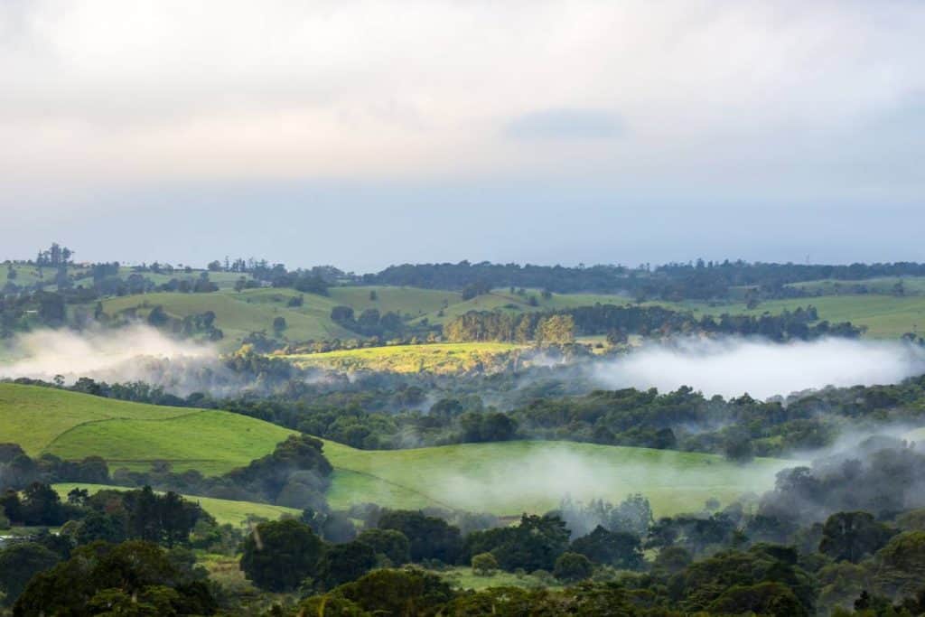 Rolling green hills of the Atherton Tablelands shrouded in morning mist, capturing the serene beauty of this Australian region. This picturesque scene highlights why exploring the Atherton Tablelands is a must for nature lovers.