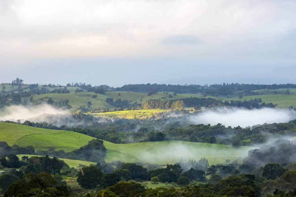 Rolling green hills of the Atherton Tablelands shrouded in morning mist, capturing the serene beauty of this Australian region. This picturesque scene highlights why exploring the Atherton Tablelands is a must for nature lovers.