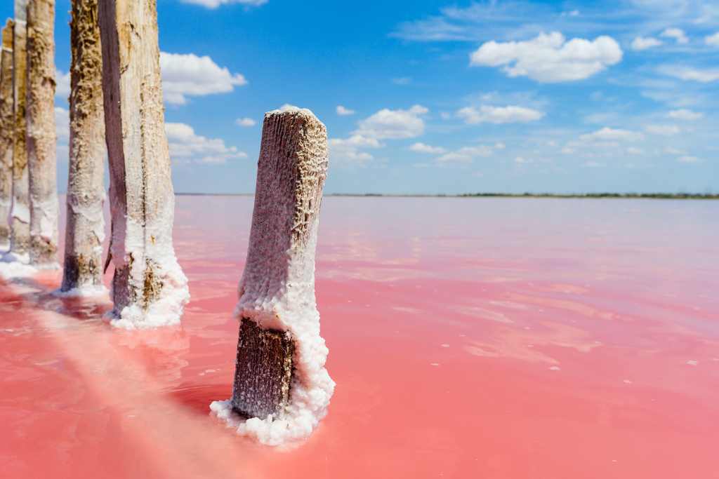 beautiful pink lake in australia