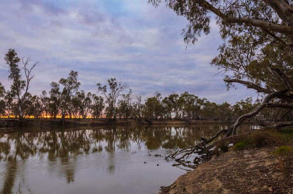 Twilight settles over a serene section of Queensland's longest river, reflecting the sky's pastel hues and the silhouettes of eucalyptus trees, embodying the peaceful yet dynamic nature of Australia's waterways and their role in the ecosystem.