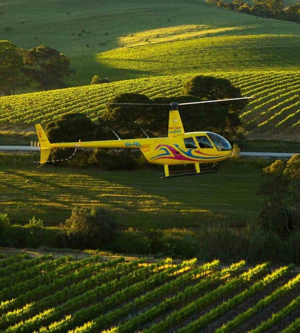 A bright yellow helicopter flying low over the lush vineyards of the Barossa Valley during sunset. This stunning scene highlights the unique experience provided by helicopter rides Adelaide, offering spectacular aerial views of the region's famous vineyards.