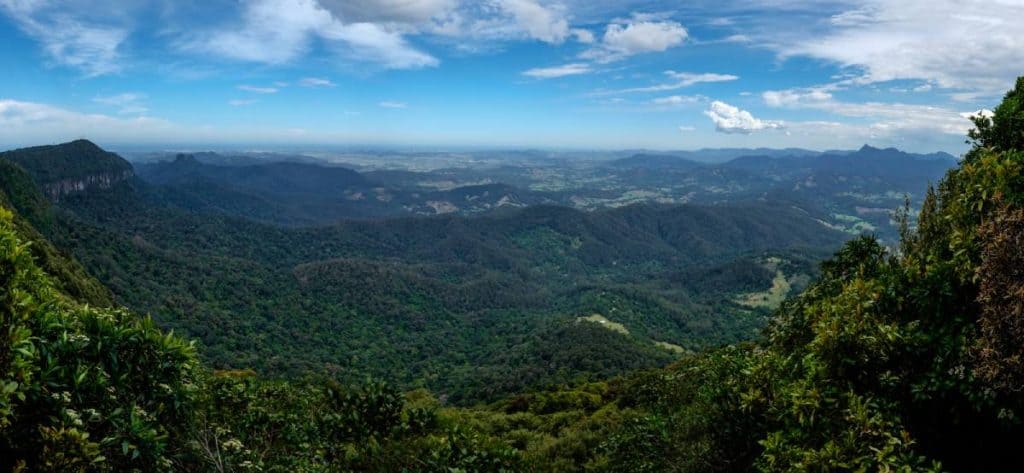 Panoramic view of lush green valleys and mountain ranges under a blue sky from Best of All Lookout in Springbrook National Park, a highlight of one of the best scenic drives in Queensland.