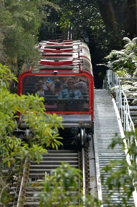Passengers riding the Blue Mountains Scenic Railway, the steepest passenger railway in the world, surrounded by lush greenery. Highlights an exciting feature of the post titled 'What You Need To Know About Blue Mountains Scenic Railway.'