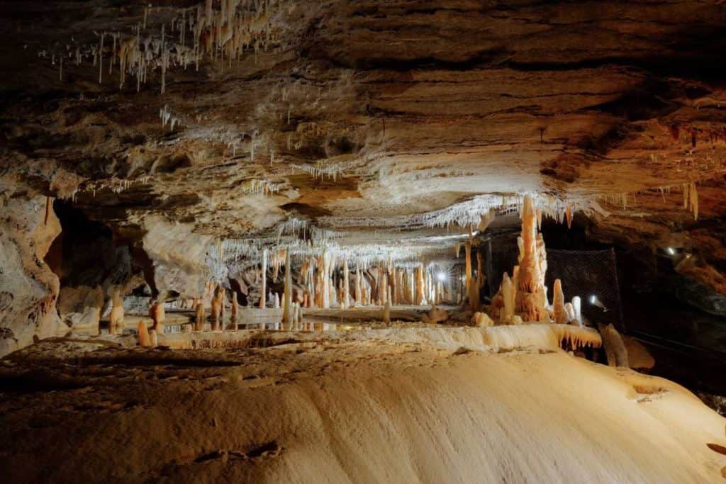 An illuminated limestone cave with striking stalactites and stalagmites inside Buchan Caves Reserve in Victoria, Australia. This underground wonder is one of Victoria’s most breathtaking natural attractions, featuring intricate rock formations formed over thousands of years.
