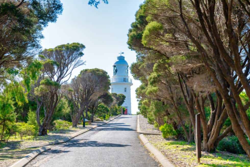A tranquil pathway lined with lush trees leading to the Cape Naturaliste Lighthouse, highlighting the peaceful and accessible approach to this historic beacon.