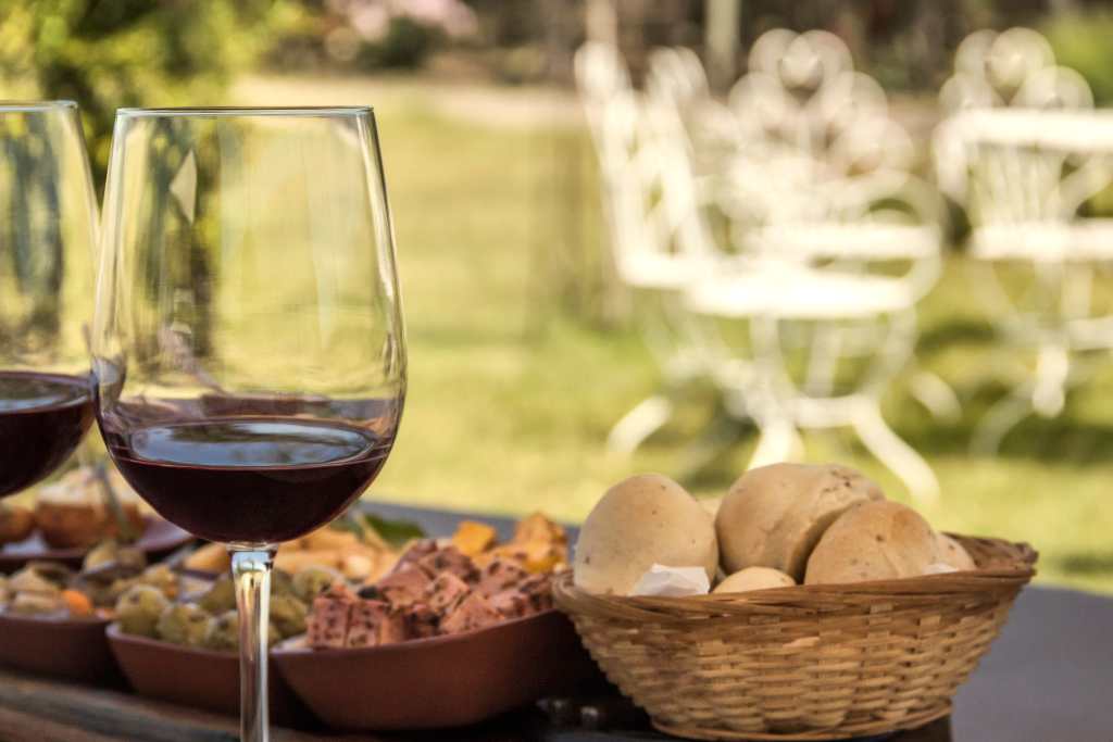 wine and food in a vineyard tour in clare valley