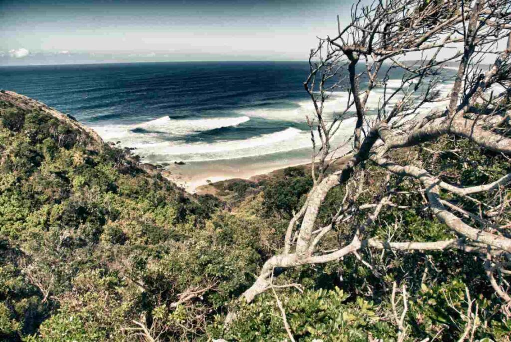 Overlooking the rugged coastline of Byron Bay, with waves crashing against the shore and dense greenery covering the hillsides. This image captures the wild beauty of Australia's summer along the eastern seaboard, highlighting Byron Bay as a stunning destination for coastal exploration.