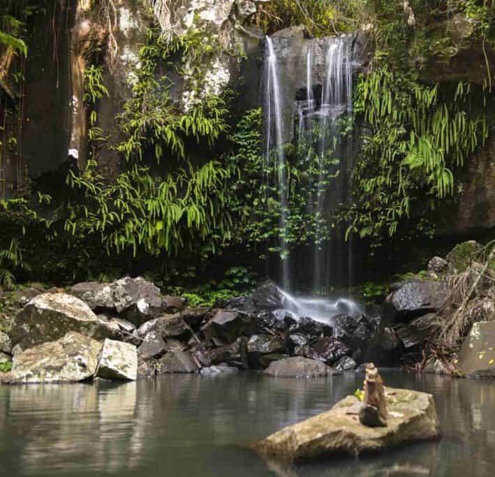 A serene view of Curtis Falls surrounded by lush greenery and mossy rocks, located in Mount Tamborine, part of a must-see stop on one of the best scenic drives in Queensland.