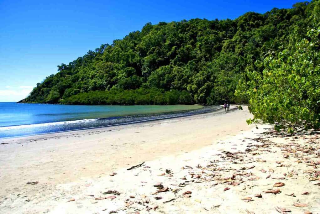 Secluded beach surrounded by lush rainforest in Daintree National Park, with a few people strolling along the shoreline under a bright blue sky. This tranquil scene exemplifies the natural beauty and serene escape offered during Australia's summer in the tropical north.