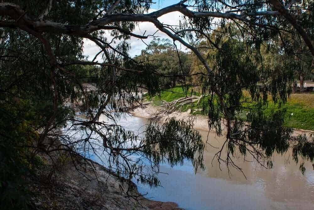 View of the Darling River in Australia seen through the overhanging branches of eucalyptus trees, contributing to the post on "How many rivers are there in Australia".