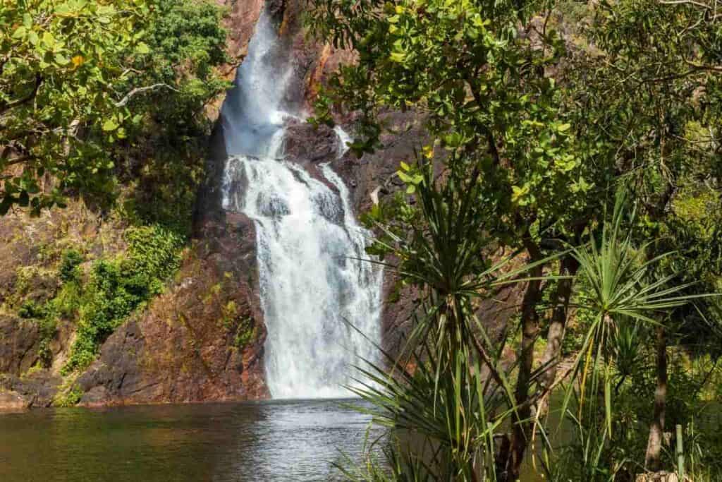 Lush waterfall surrounded by greenery in Darwin, Northern Territory, Australia. This natural attraction is highlighted in a blog post about Australia travel deals, featuring stunning landscapes and outdoor experiences.