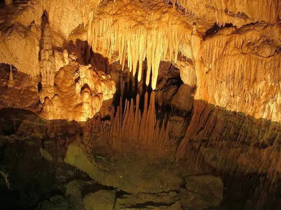 Stalactites and stalagmites illuminated inside Hastings Caves, a highlight of the Tahune and Huon Valley Full Day Tour, offering a unique underground experience for those seeking things to do near Hobart in winter.