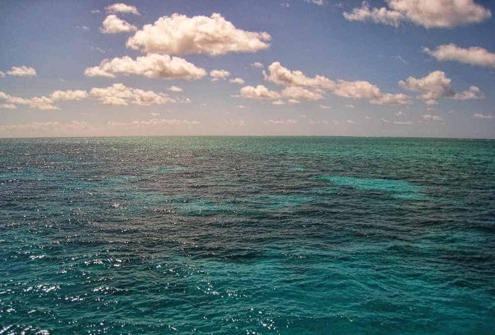The tranquil waters of the Coral Sea seen on a sunny day, with gradients of turquoise and deep blue, dotted with sunlight reflections and framed by a sky of fluffy white clouds. This calm maritime vista represents the serene water adventures that await in the 'Port Douglas vs. Whitsundays' comparison, inviting travellers to dive into the depths of Australia's natural aquatic wonders.