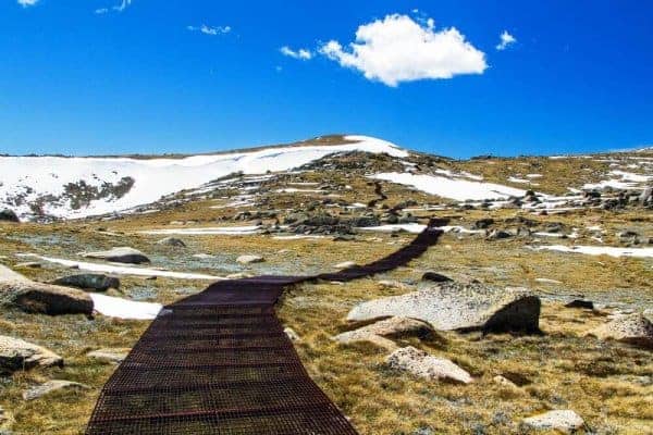 A meandering boardwalk trails through a rugged snowy landscape under a clear blue sky, a scene often enjoyed on guided snow tours from Sydney.