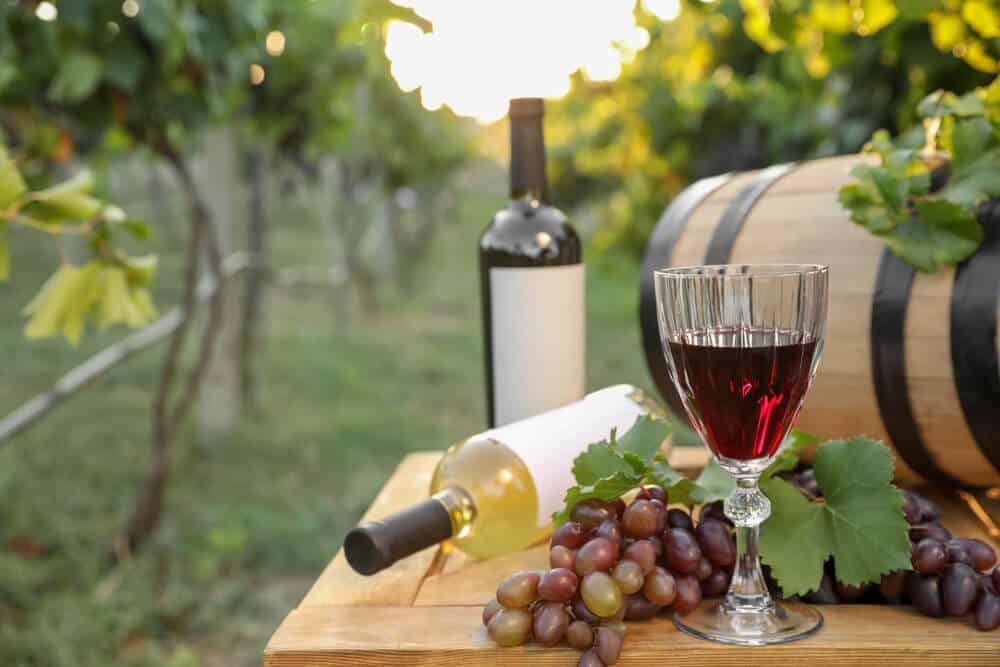 A glass of rich red wine, bottles, and grapes set against a vineyard backdrop, epitomising the bespoke experiences offered by private vineyard tours in the Mornington Peninsula.