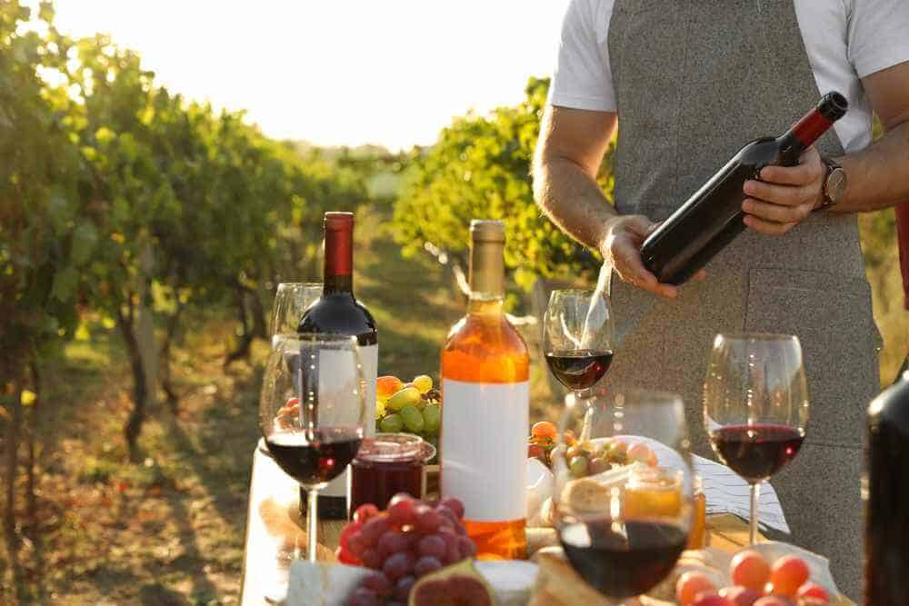 A sommelier pouring wine at a tasting table set amidst the vineyard, an experience offered by the best Hunter Valley tours.