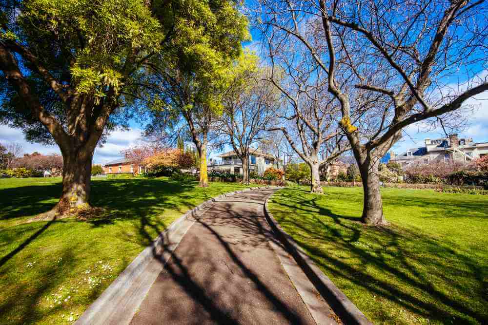 A serene pathway in Battery Point, Hobart, flanked by green trees and leafless branches, capturing the essence of a leisurely winter walk, part of the Battery Point Tour famous for its foodie scene, a popular winter activity in Hobart.