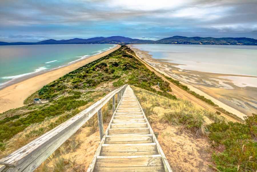 A wooden boardwalk stretches across The Neck on Bruny Island, connecting two sandy beaches and emphasising the scenic and distinctive landscape that makes visiting Bruny Island a captivating experience.