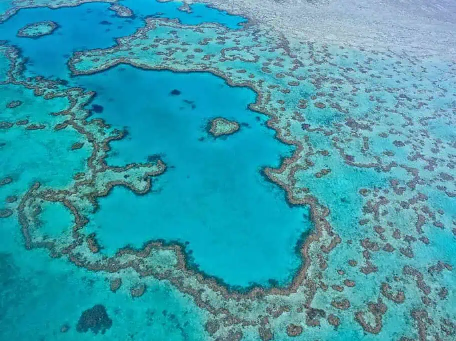 Aerial view of the Heart Reef within the Great Barrier Reef, representing the iconic natural beauty that draws visitors to Cairns and the Whitsundays, key regions for exploring the reef's majesty.