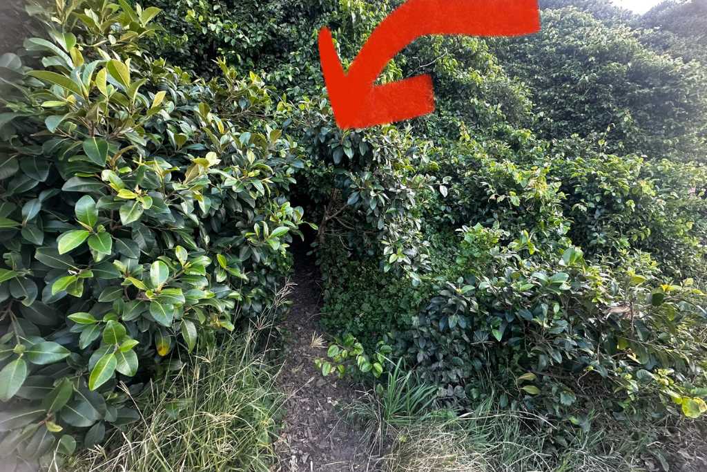 The entrance-to-sea-cliff-bridge-lookout