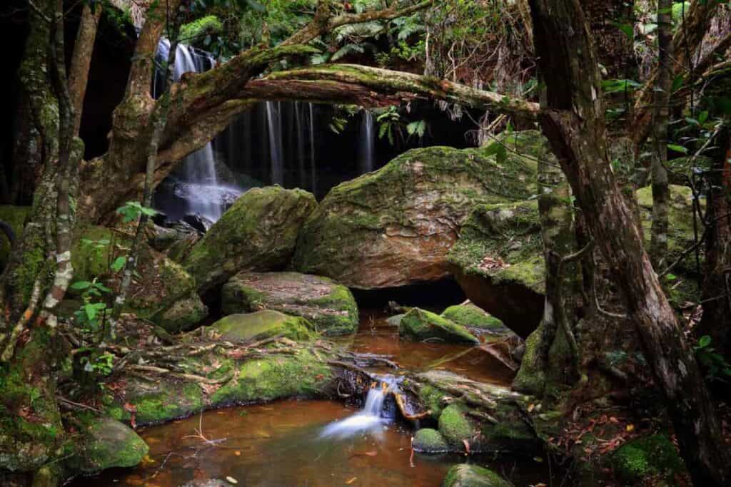 Tranquil scene of Fitzroy Falls with water cascading over rocks surrounded by lush greenery, exemplifying a serene spot featured in Australia travel deals.