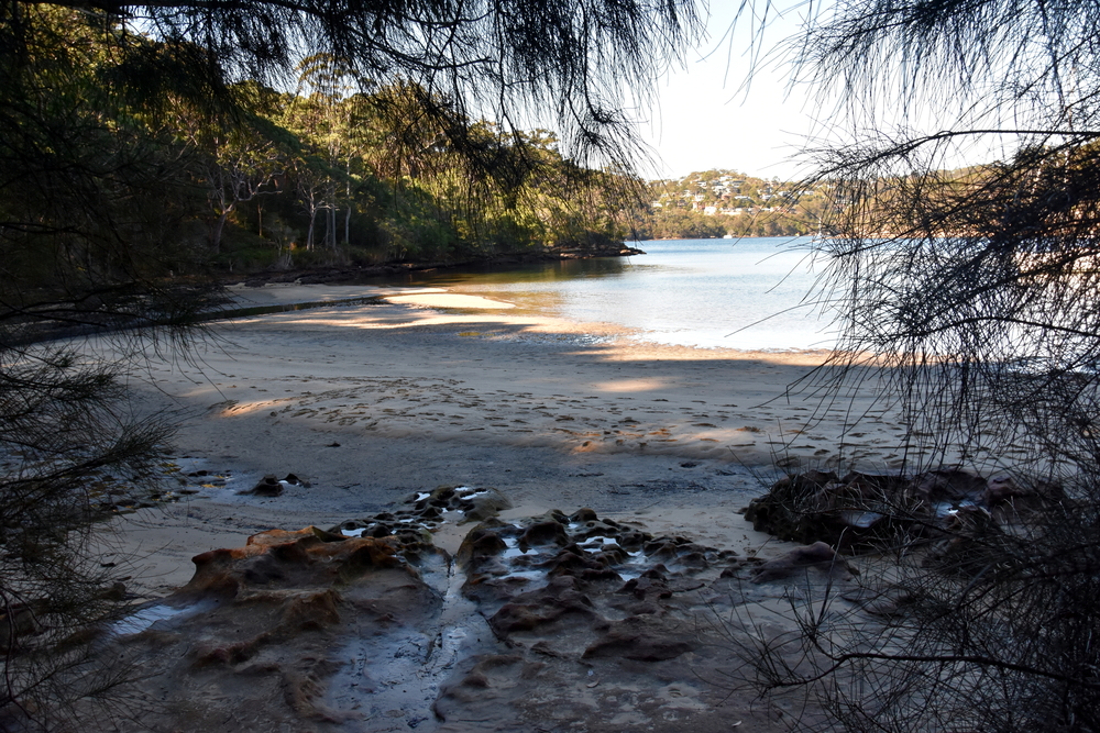 Flat Rock Beach and Middle Harbour in Garigal National Park at low tide (Sydney, NSW, Australia)