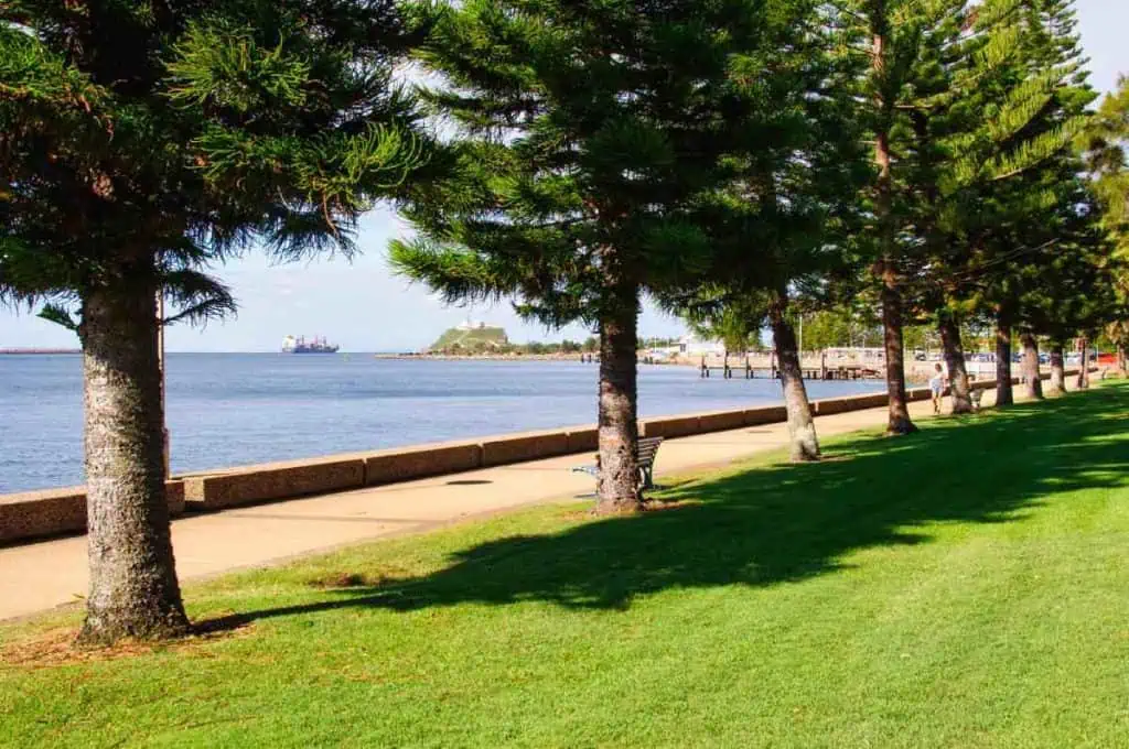 Tree-lined foreshore footpath in Newcastle overlooking the harbour and a distant ship, offering a peaceful walking spot during a road trip from Sydney to Byron Bay.